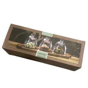 Artesa three glass domes Appetizer Serving Set. New in box